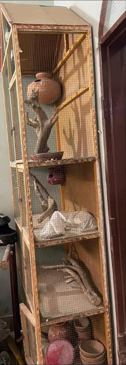 Big size 4 portions Cage/ pinjara ( selling Only pinjara) — photo 2