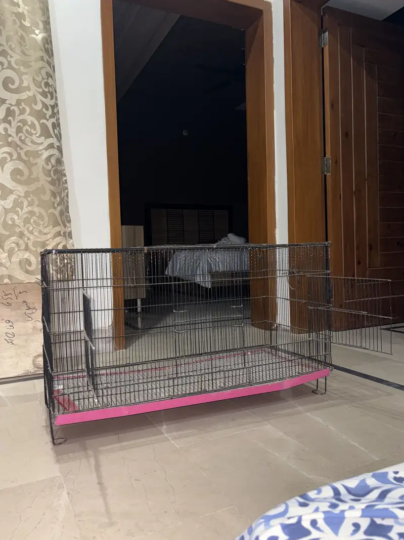 Bird cage — photo 2