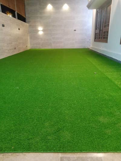 Grass Carpet Austroturf Available