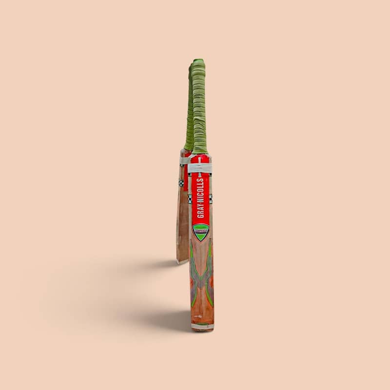 Hard ball bat 2