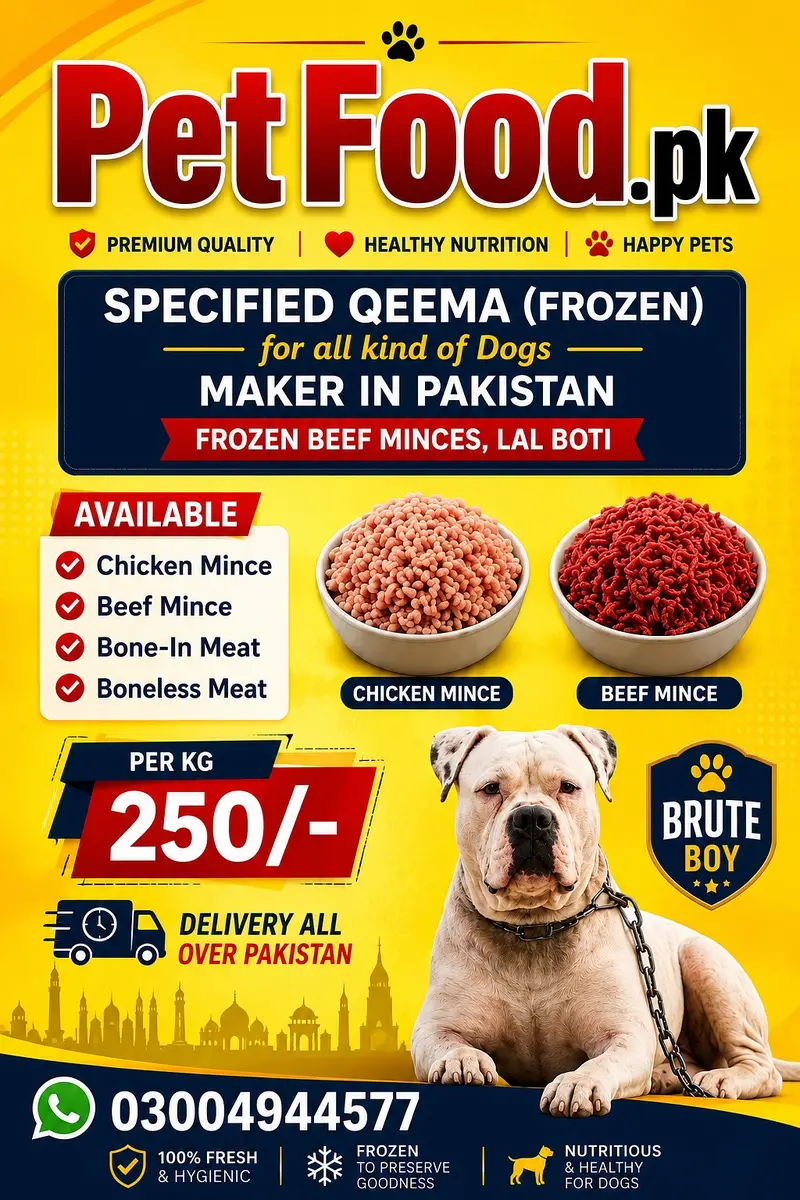 Premium Raw Dog Food – Fresh & Healthy Pet Nutrition