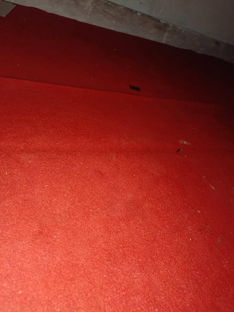 Carpet + Foam 1