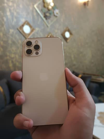 Apple iPhone 12 Pro. 256gb. factory unlocked. Ladies used.