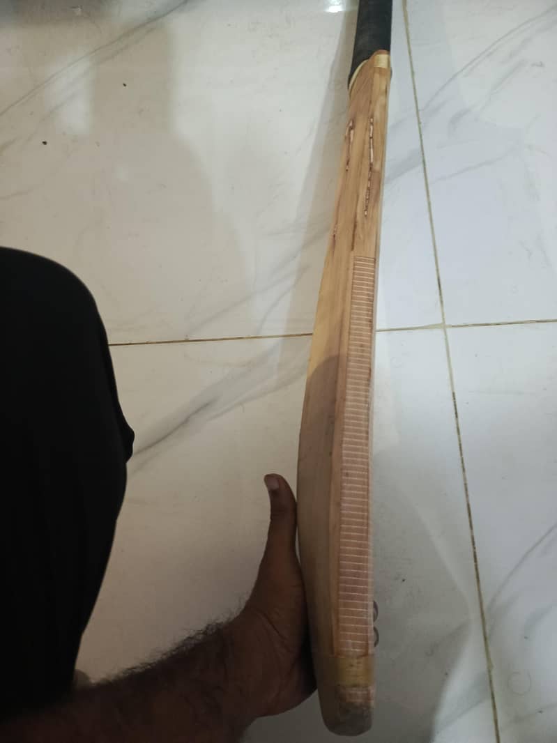 hardball bat 2
