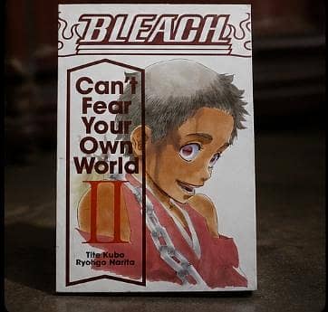 bleach can't fear own your own world vol 2 manga/light novel