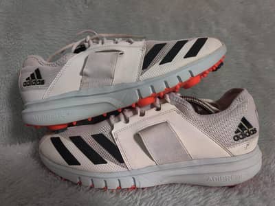 Cricket football shoes