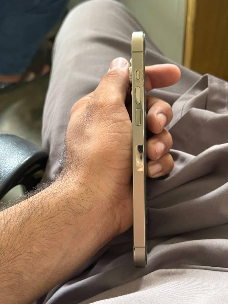 Apple iPhone 14 Pro Max 2