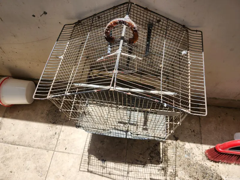 2 Cages for ( Ring neck , Cocktail,  Love birds ) — photo 5