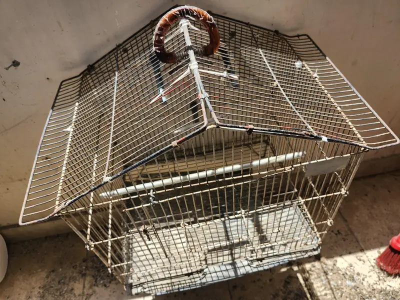 2 Cages for ( Ring neck , Cocktail,  Love birds ) — photo 6