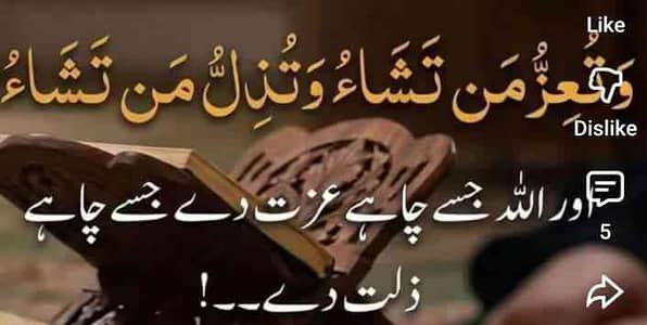 Malik Haider