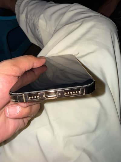Apple iPhone 12 Pro Max