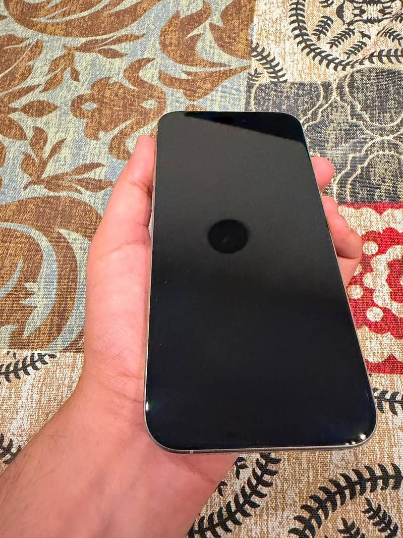 Apple iPhone 15 Pro Max 1
