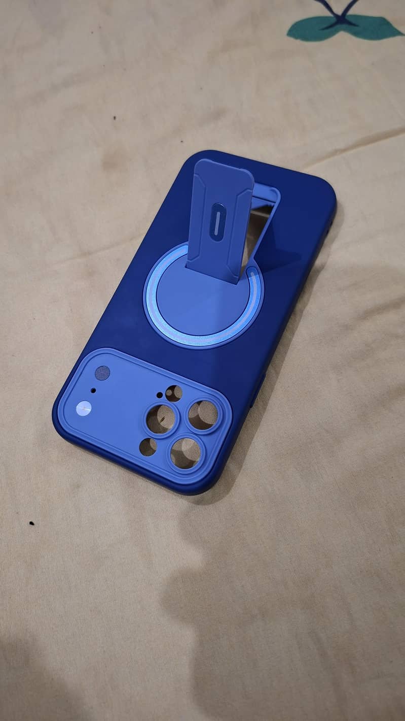 13 pro max branded case 2