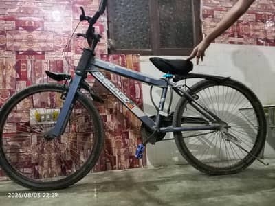 Chicago Cycle for sale