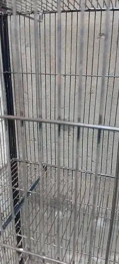 4 portion cage for sale — photo 7