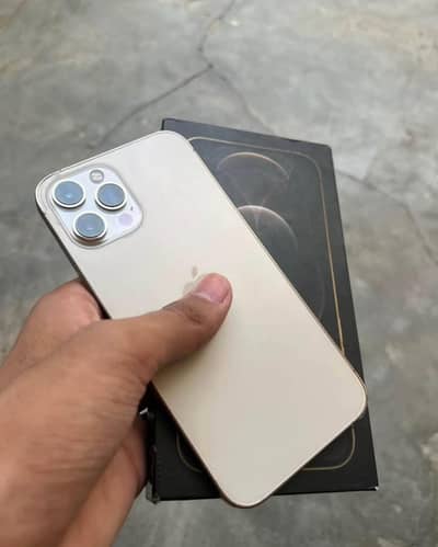 iPhone 12 Pro Max