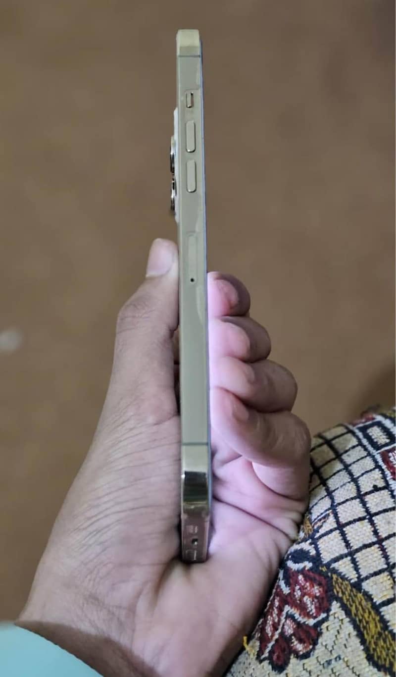 iPhone 12 Pro Max 3