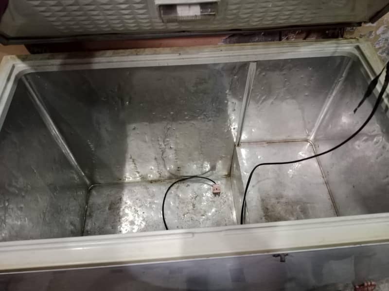 freezer 4