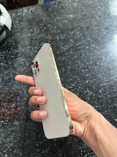 Apple iPhone 12 Pro Max