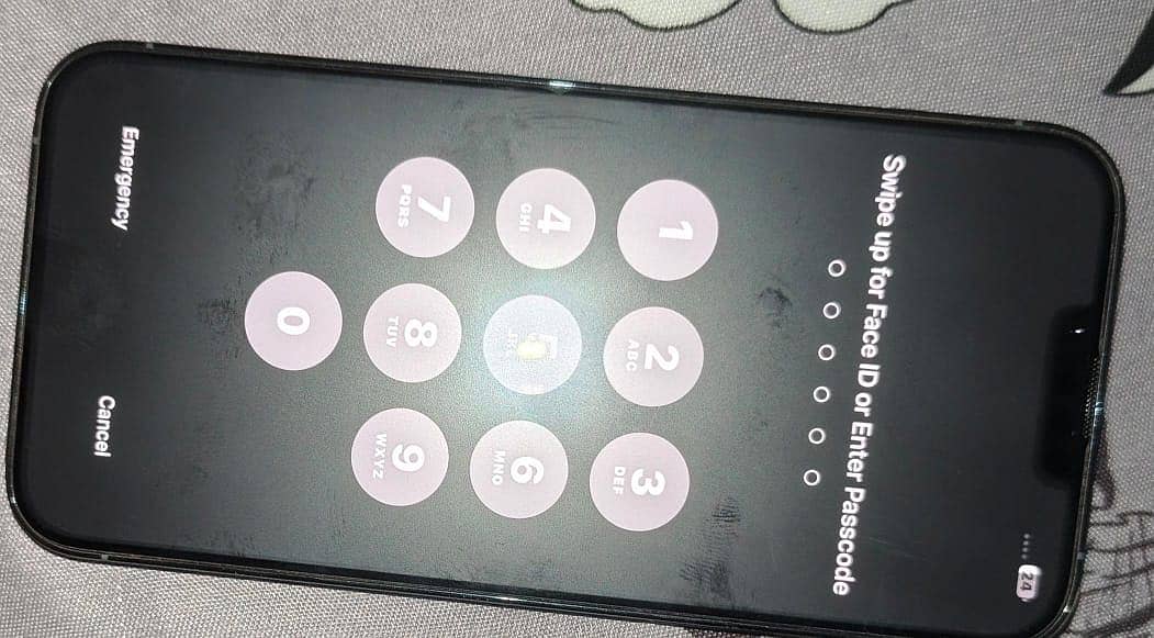 iPhone 13 Pro Max 1