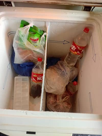 dubble doo deep freezer