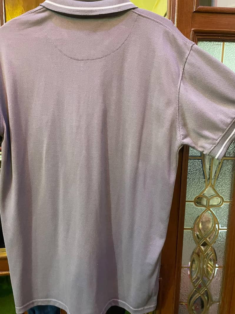 polos 2