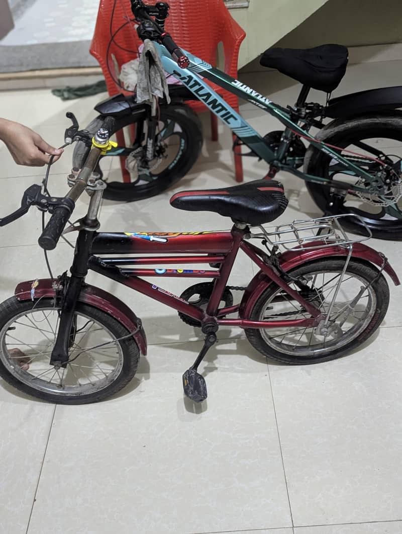 Morgan cycle 0