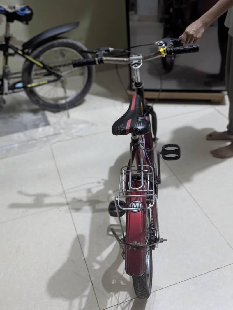 Morgan cycle 2