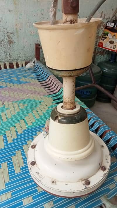 AC Indas fan
