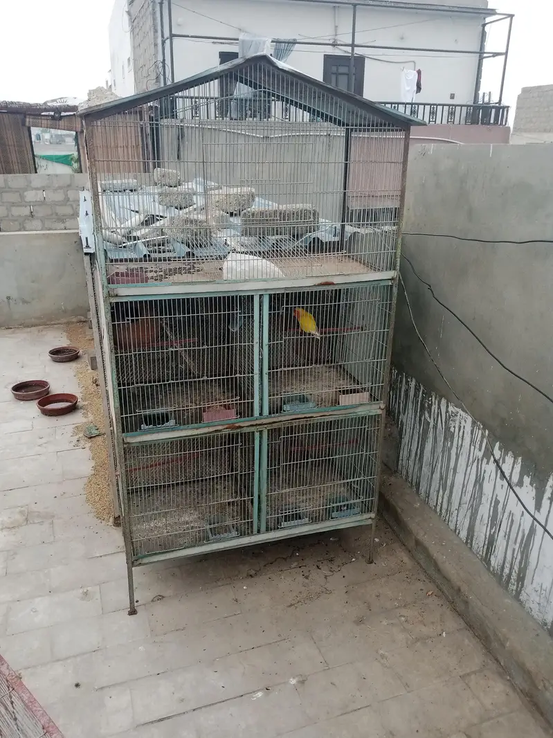 birds cages — photo 2