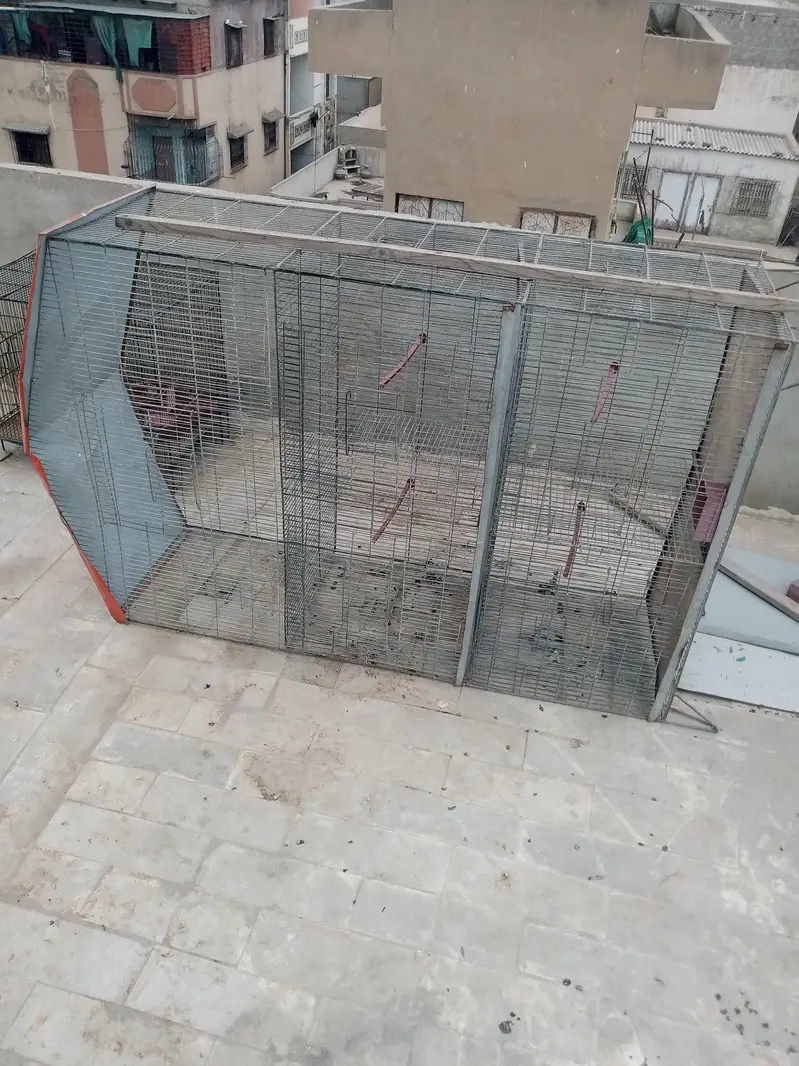 birds cages — photo 3