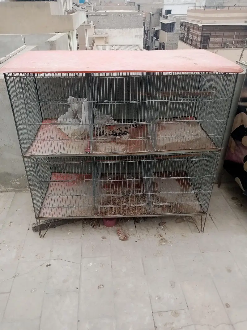 birds cages — photo 4