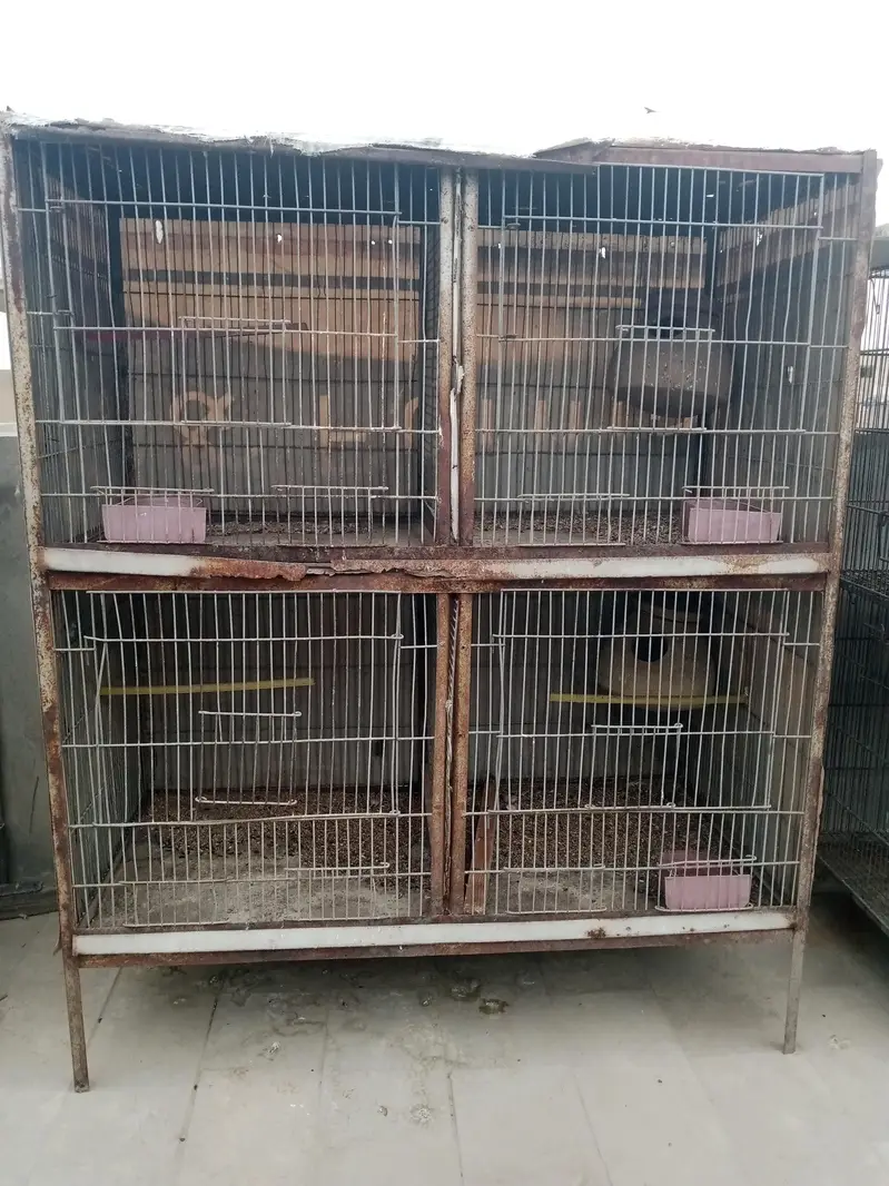 birds cages — photo 5