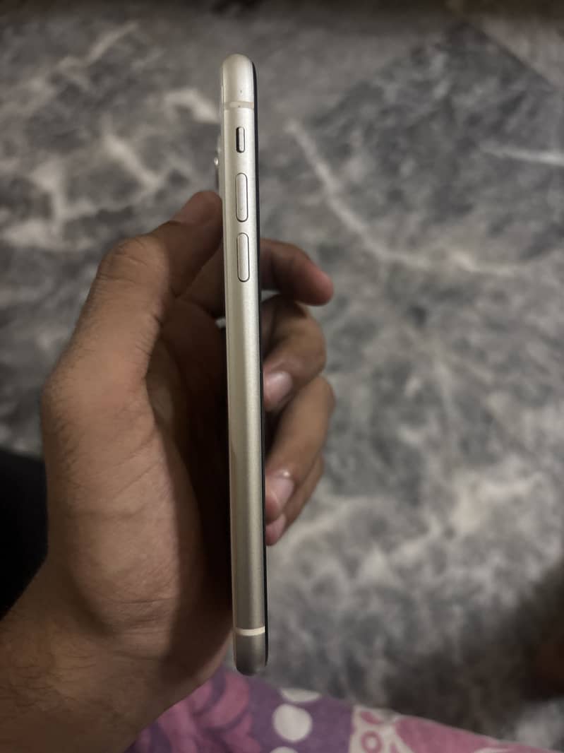 Apple iPhone 11 2
