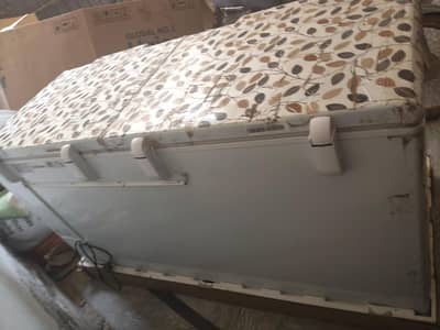 Haier HDF-545 Deep Freezer for Sale