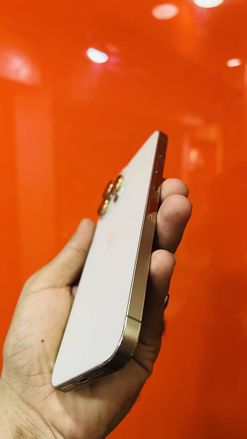 Apple iPhone 13 Pro Max 1