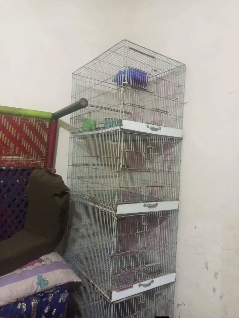 only whatsapp pr rabta krna 03234547425 — photo 2