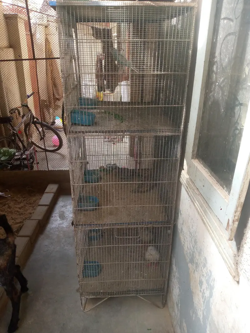 Cage for Sale — photo 2