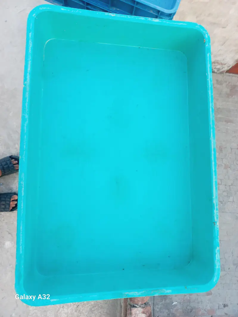 mealworms tray — photo 3