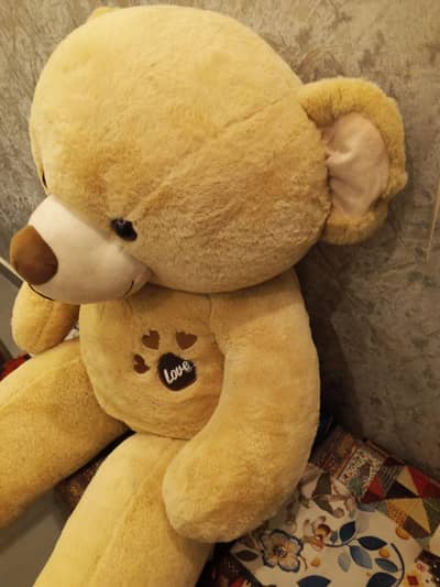 Teddy Bear