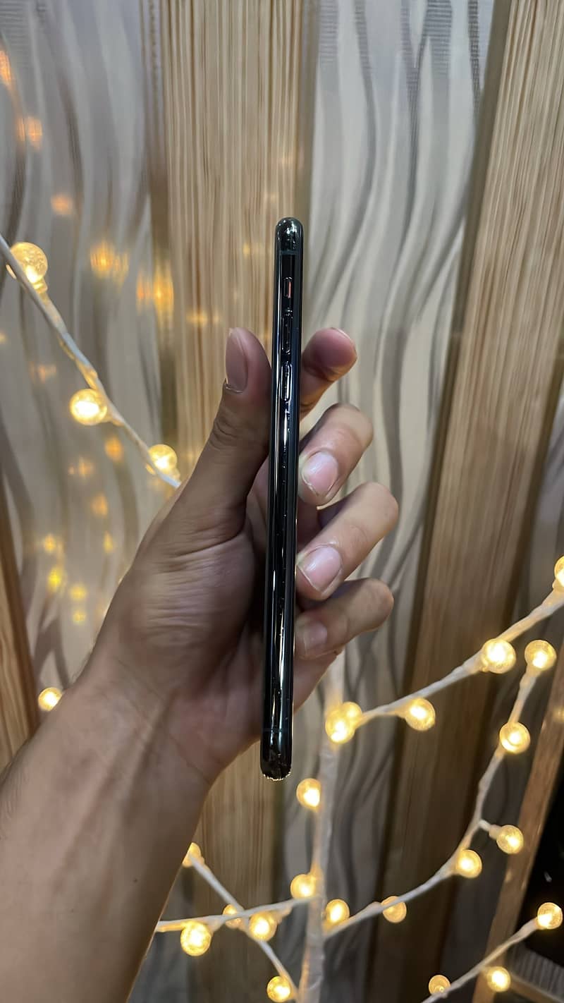 11 Pro Max 4