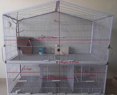 Angle Cage for Birds
