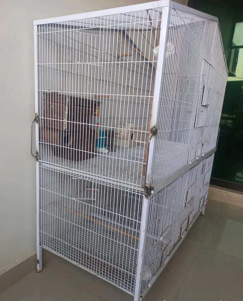 Angle Cage for Birds — photo 2