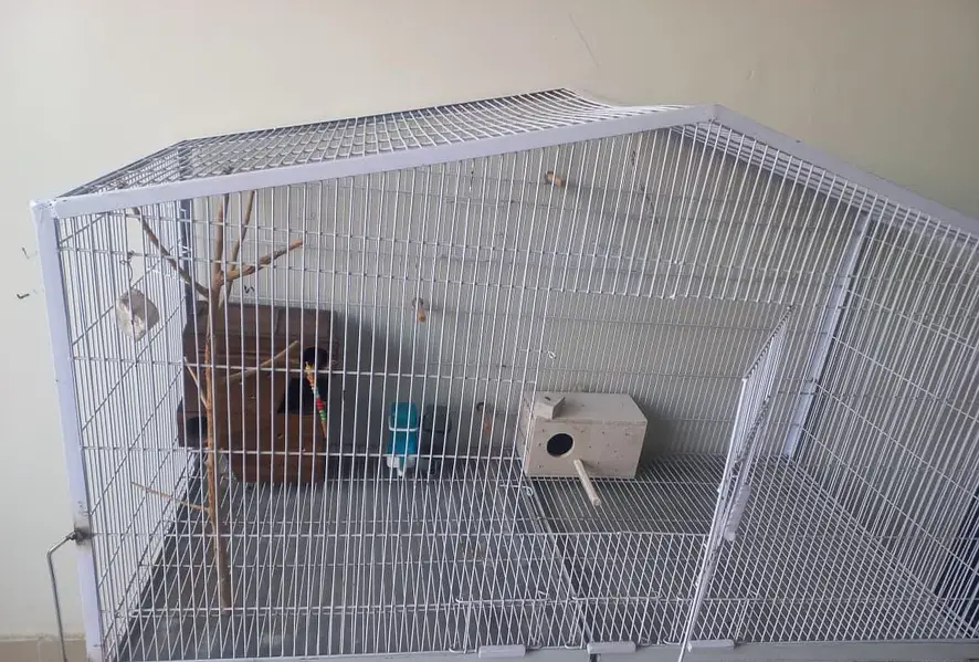 Angle Cage for Birds — photo 3