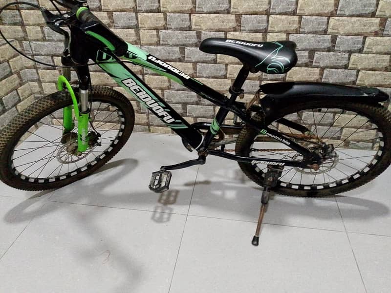 BEIDUOFU cycle 2