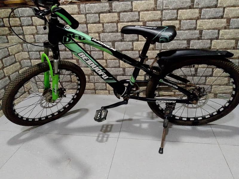 BEIDUOFU cycle 3