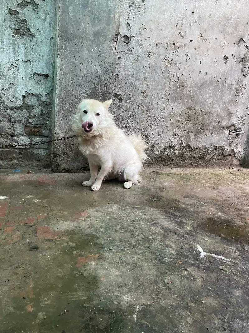 Urgent sale — photo 2