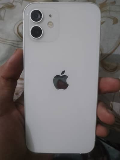 iPhone 12 plz read discription first