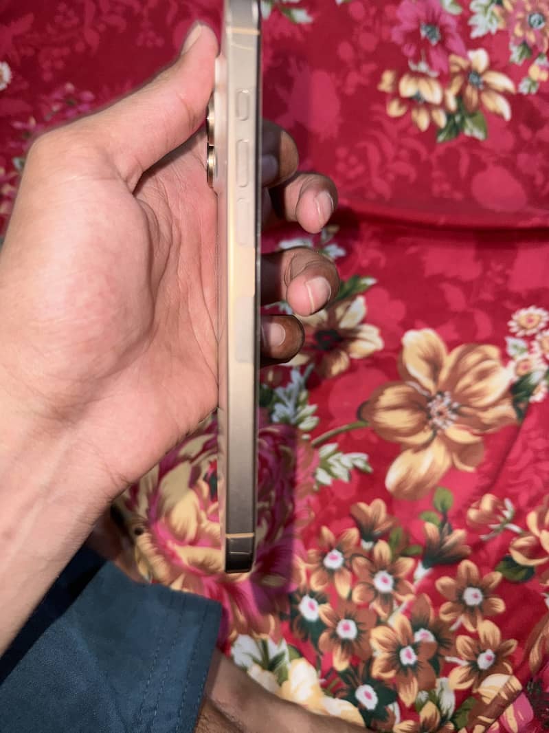 Apple iPhone 16 Pro Max 1