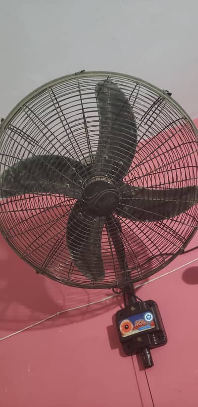 Polo Bracket Fan